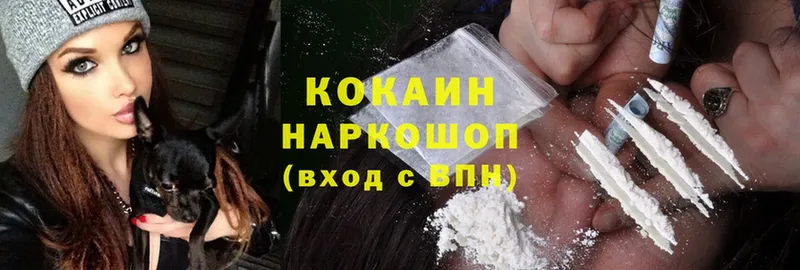 Кокаин FishScale  Куровское 