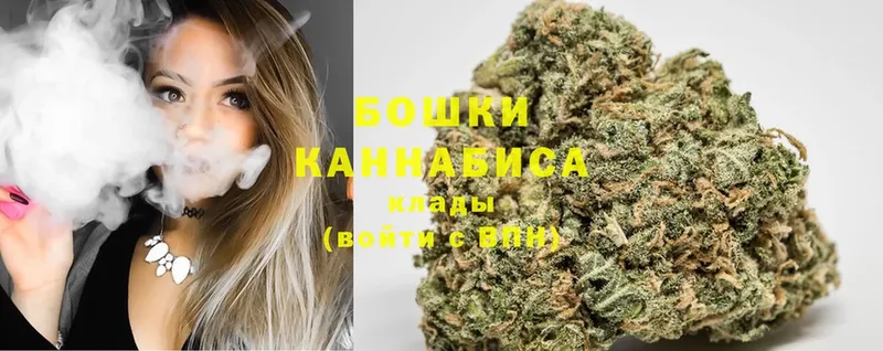 Марихуана SATIVA & INDICA  Куровское 